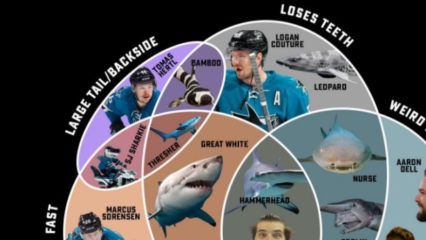 San Jose Sharks Venn Diagram