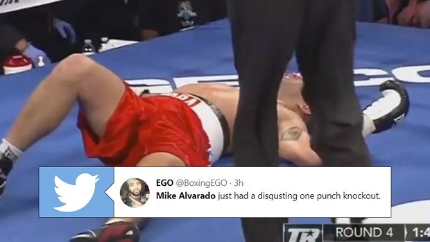 Mike Alvarado knockout