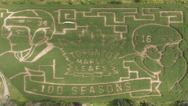 Toronto Maple Leafs 100th season corn maze