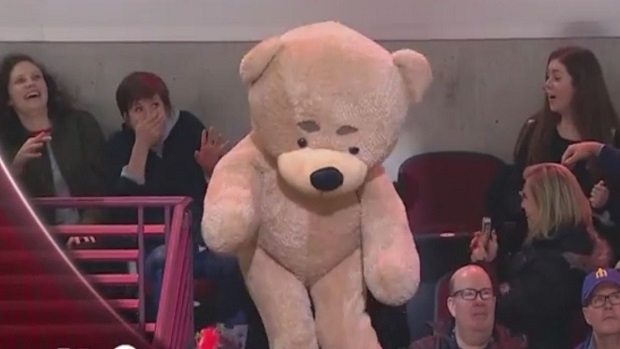 Teddy bear prank