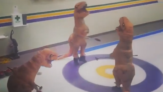 Dinosaur curling