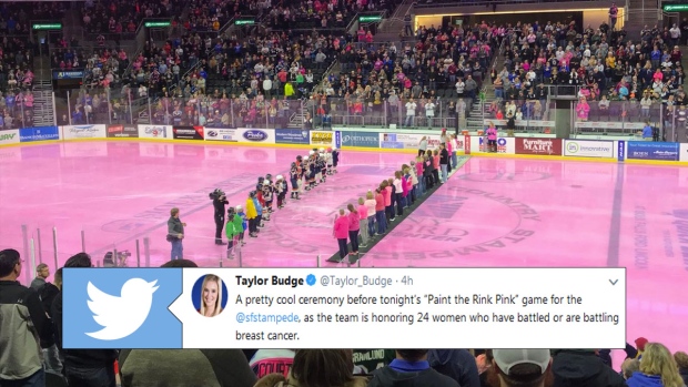 A swatch of pink in every hockey rink —