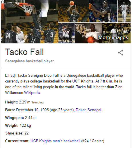 Tacko Fall - Wikipedia