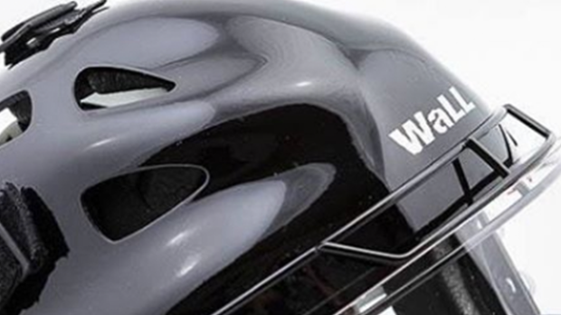 35 Things That Shouldn't Be Louis Vuitton Monogrammed: Louis Vuitton hockey  goalie helmet