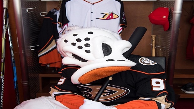 Anaheim Ducks Reveal Mighty Fine New Uniform for 30th Anniversary –  SportsLogos.Net News