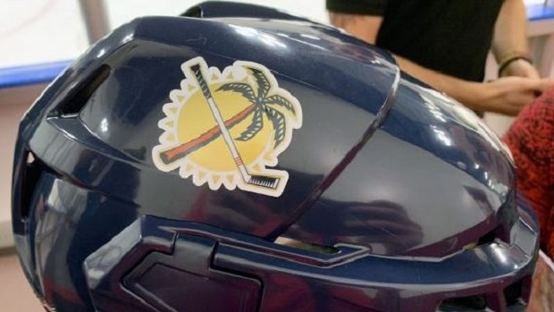 Florida Panthers helmet decal