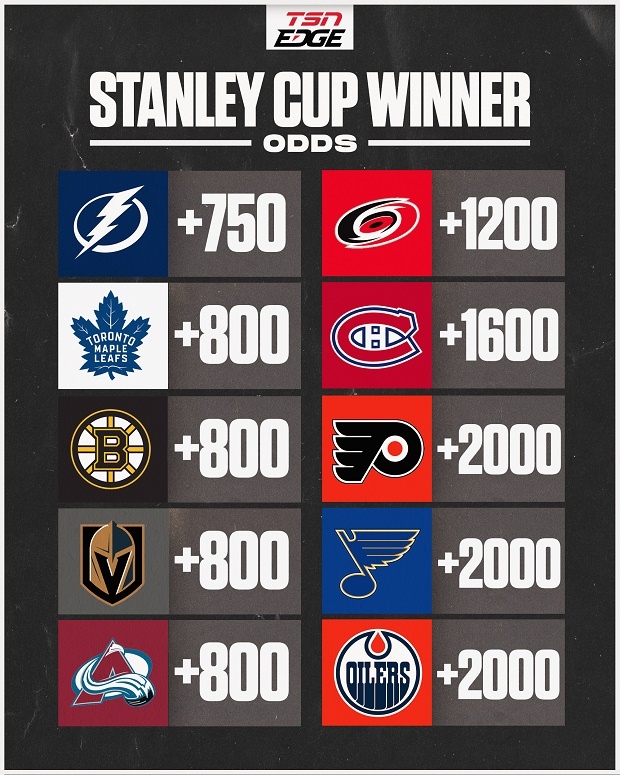 Best odds to win the stanley cup investing log functions pdf