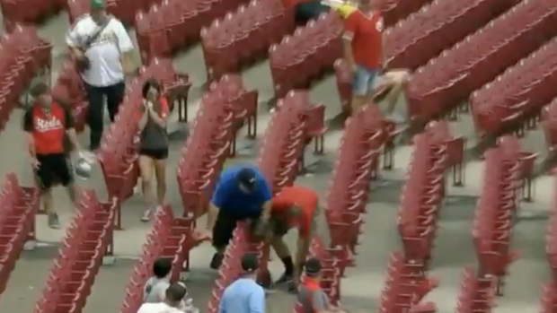  A fan altercation hilariously broke out over a fly ball during the Brewers-Reds game 