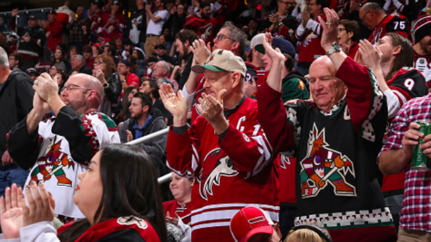 Arizona Coyotes: one NHL team's bitter divorce from its own home city, Arizona  Coyotes