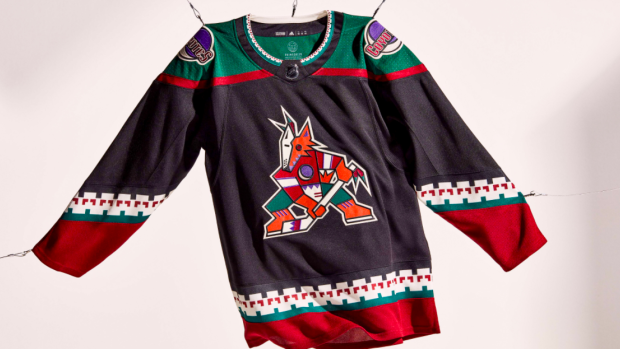 Checkout these Amazing Alternate Jerseys Designs for all 32 NHL Teams