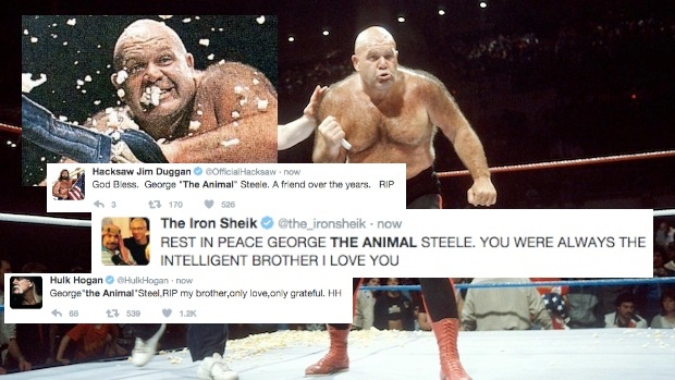 WWE superstars and fans mourn the passing of George 'The Animal' Steele -  BarDown | TSN