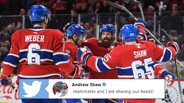 Montreal Canadiens players celebrate after Andrew Shaw scores a goal.