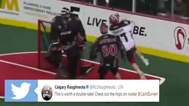 Calgary Roughnecks rookie Zach Currier scores a goal