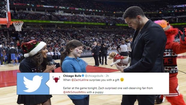 Zach LaVine surprises young Bulls fan with a puppy